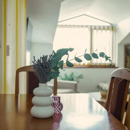 Large 2-bedroom Near Road, 5 Min To Gondola & Bar Street Banszko